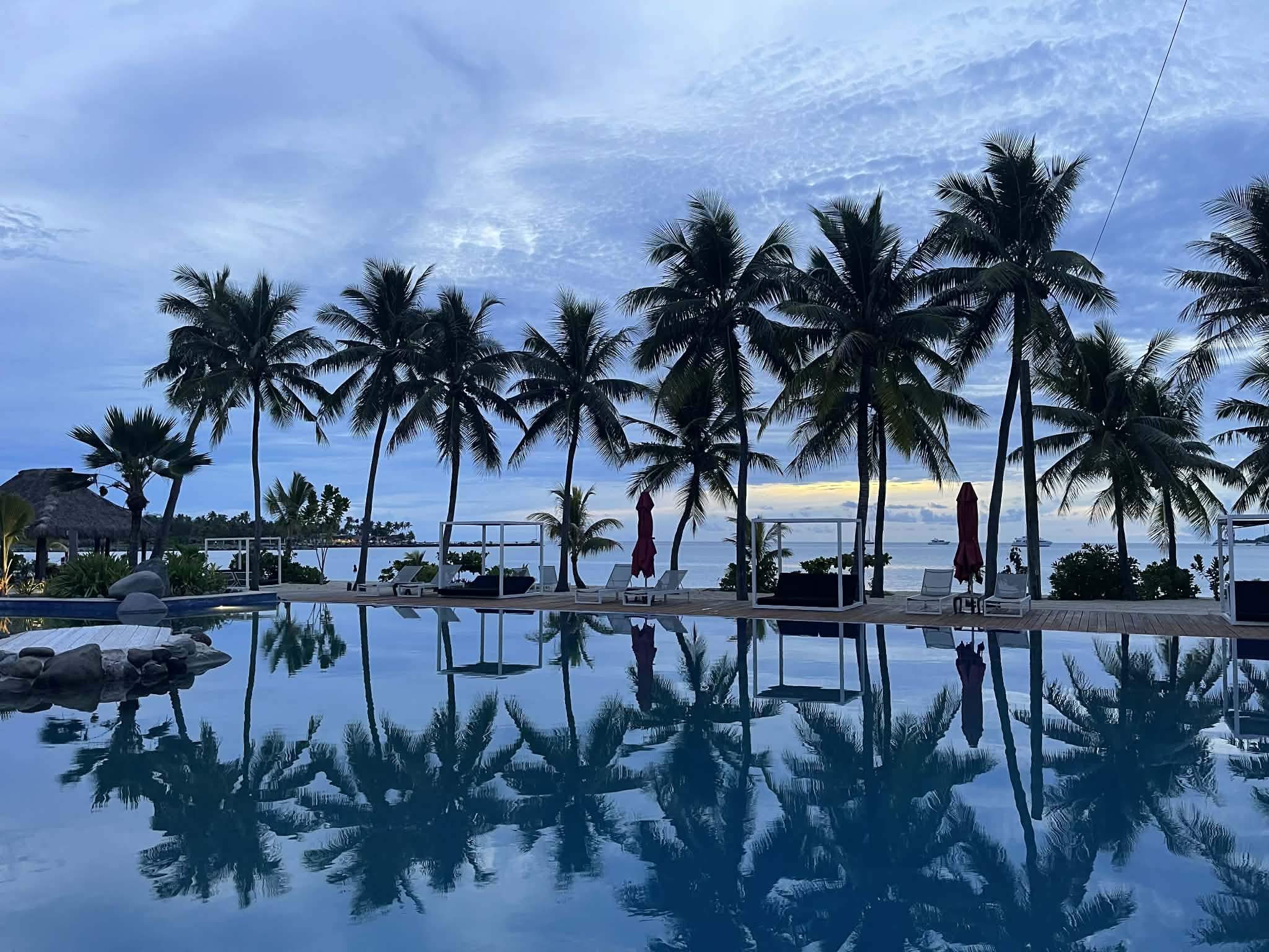 Pool framed by palms at dusk